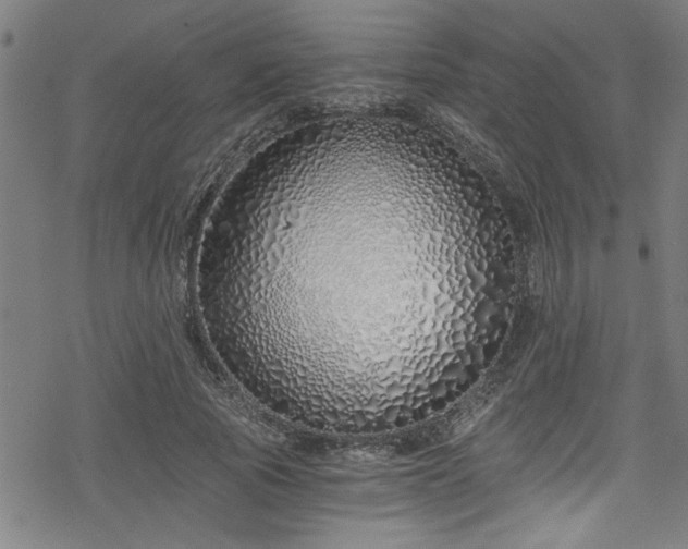 X0000078260737200611101034