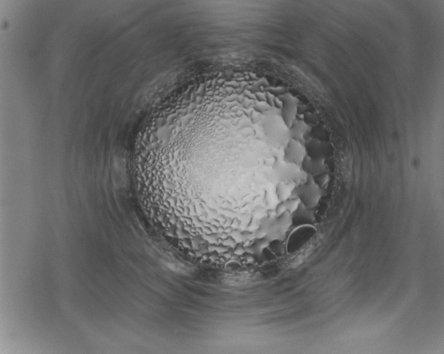 X0000078260757200611101035