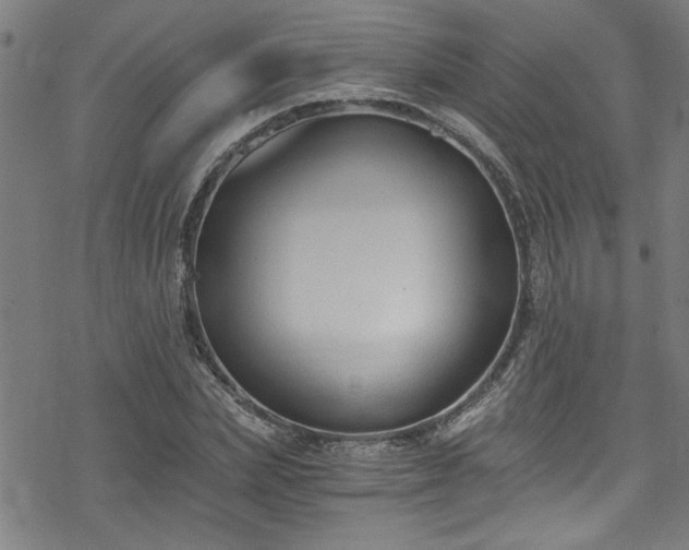 X0000078260831200611101033