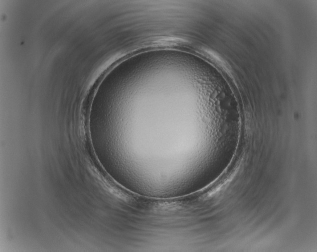 X0000078260835200611101033