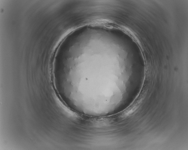 X0000078260851200611101033
