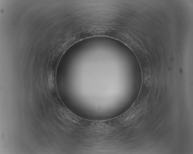 X0000078260866200611101033