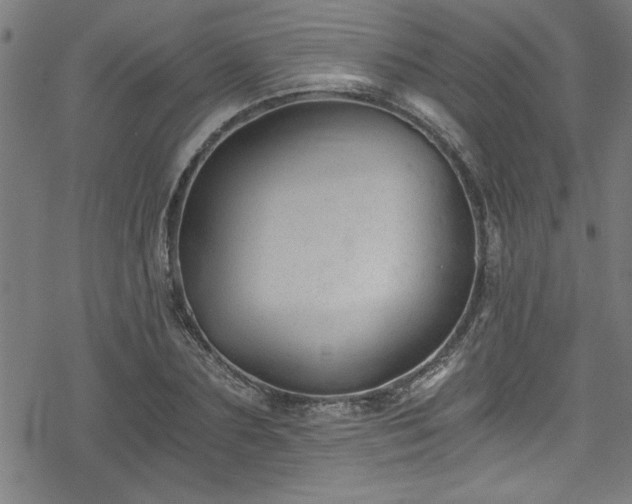 X0000078260883200611101032
