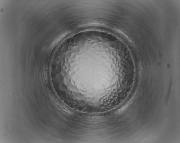 X0000078260921200611101031