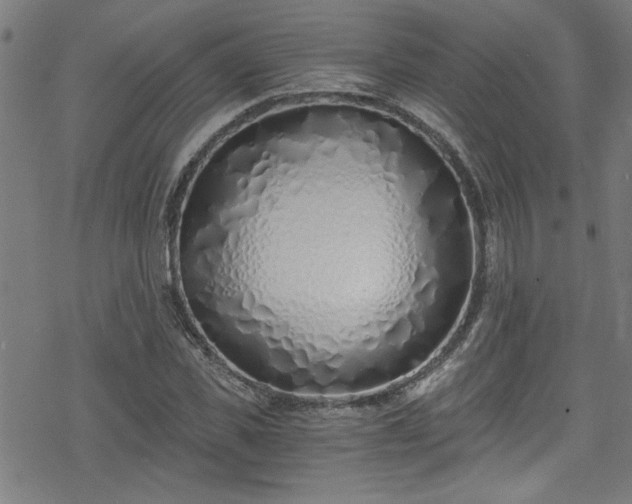 X0000078260925200611101031