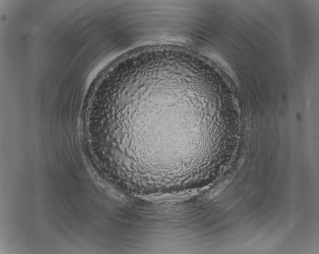 X0000078260928200611101031