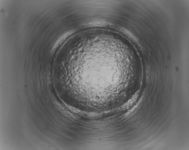 X0000078260930200611101031
