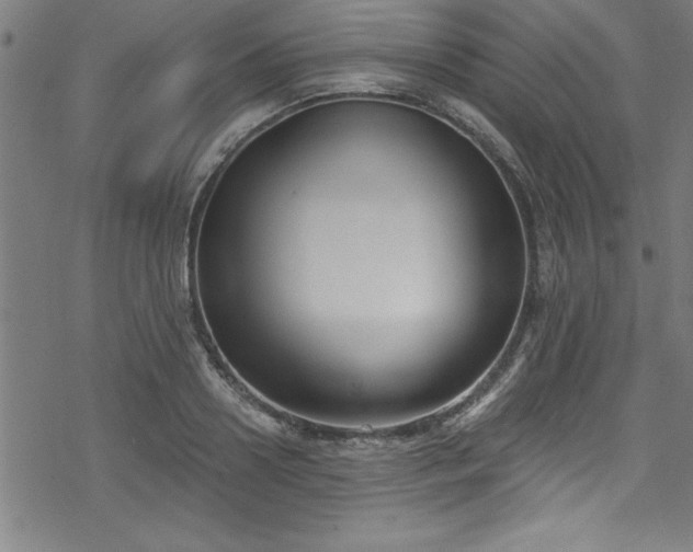 X0000078260938200611101031