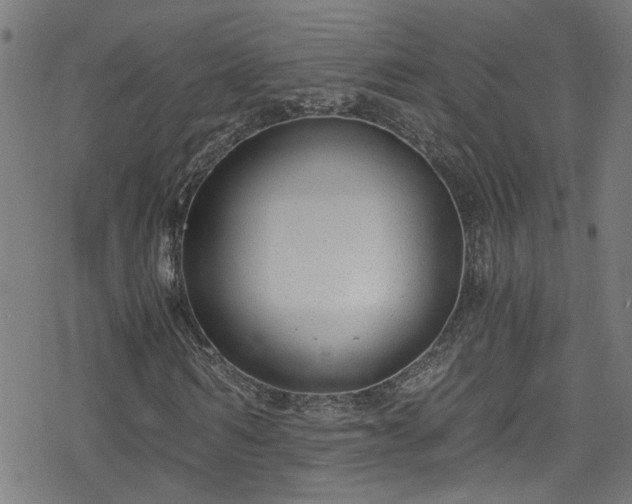 X0000078260962200611101031