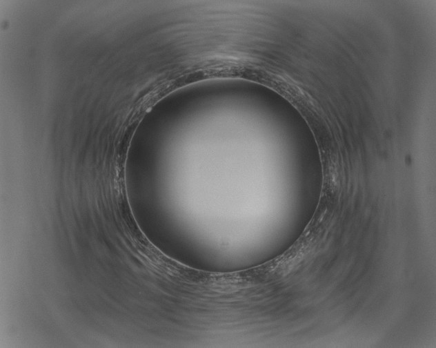 X0000078260964200611101031