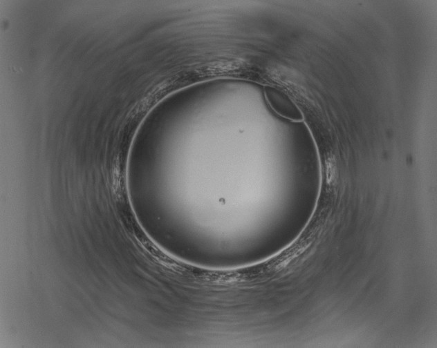 X0000078261011200611101029