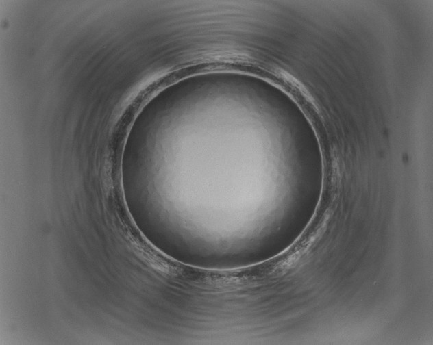 X0000078261019200611101030