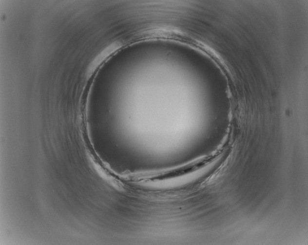 X0000078261042200611101030