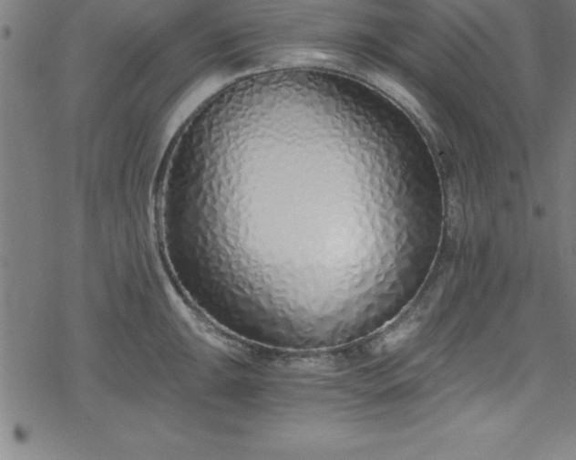 X0000078261047200611101030
