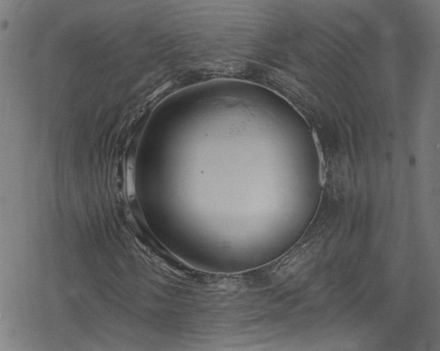 X0000078261058200611101029