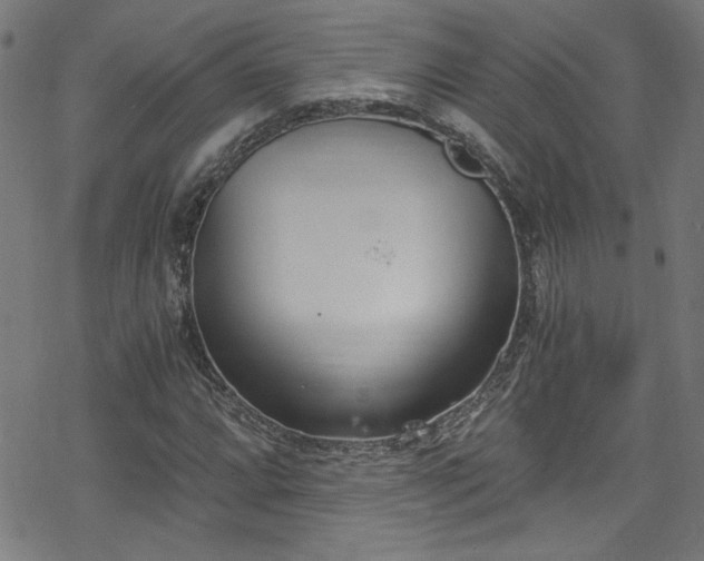 X0000078261064200611101029