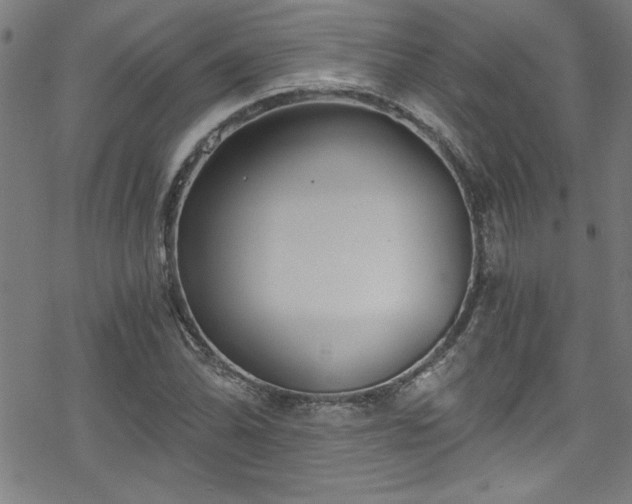 X0000078261070200611101029