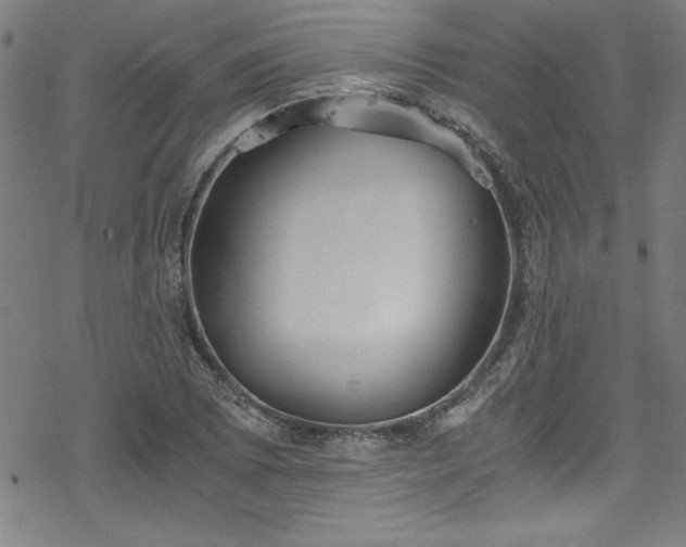 X0000078261073200611101029