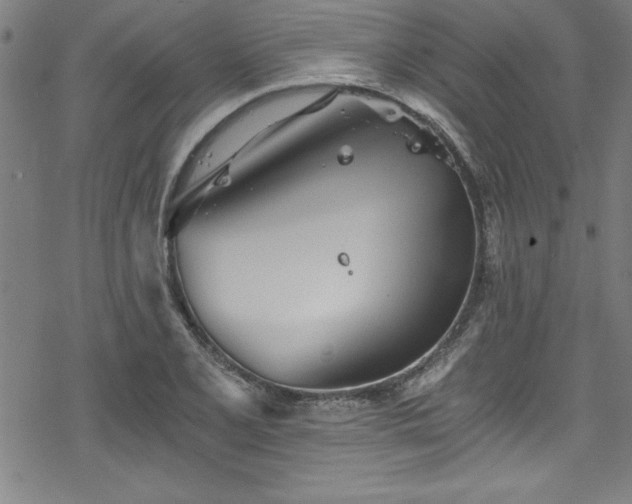 X0000078261077200611101029