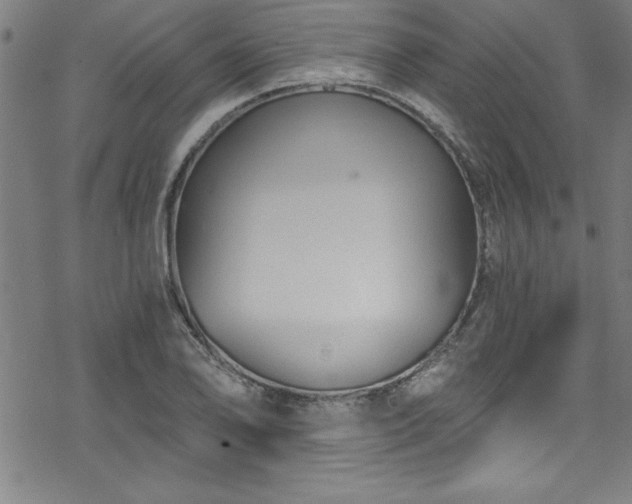 X0000078261078200611101029