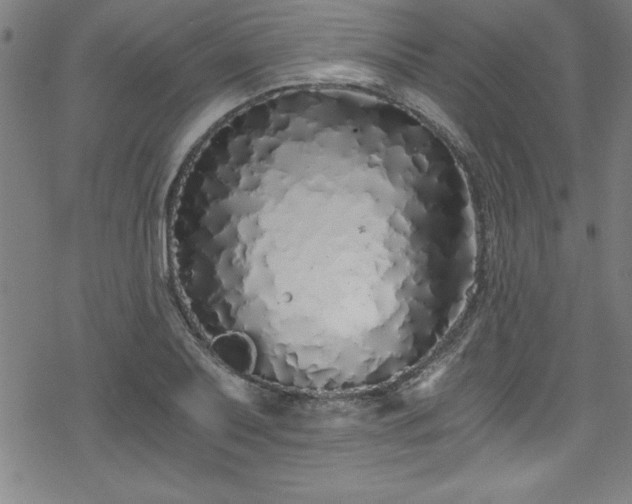 X0000078261079200611101029