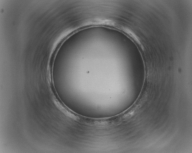 X0000078261080200611101029