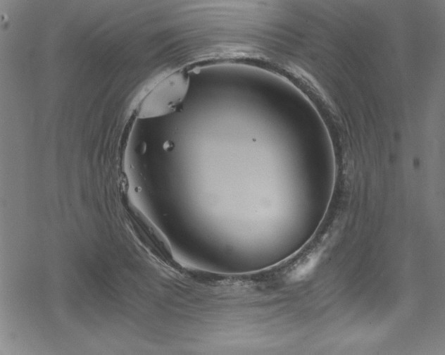 X0000078261081200611101029