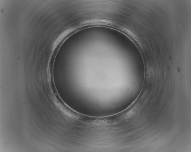 X0000078261082200611101029