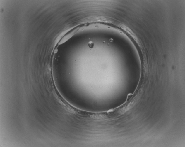 X0000078261089200611101029