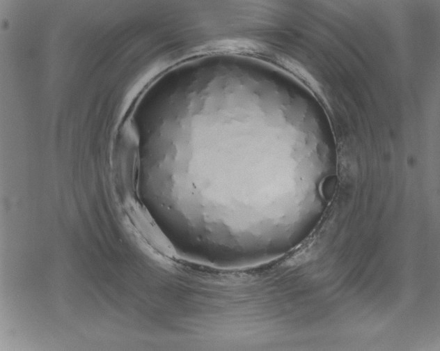 X0000078261091200611101029