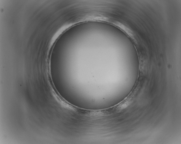 X0000078261094200611101029