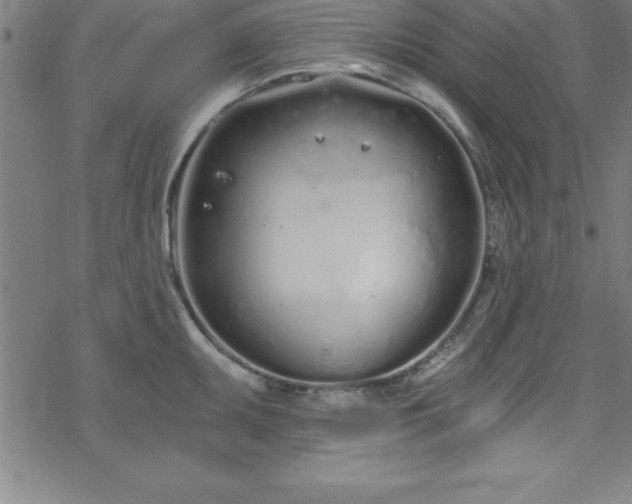 X0000078261095200611101029