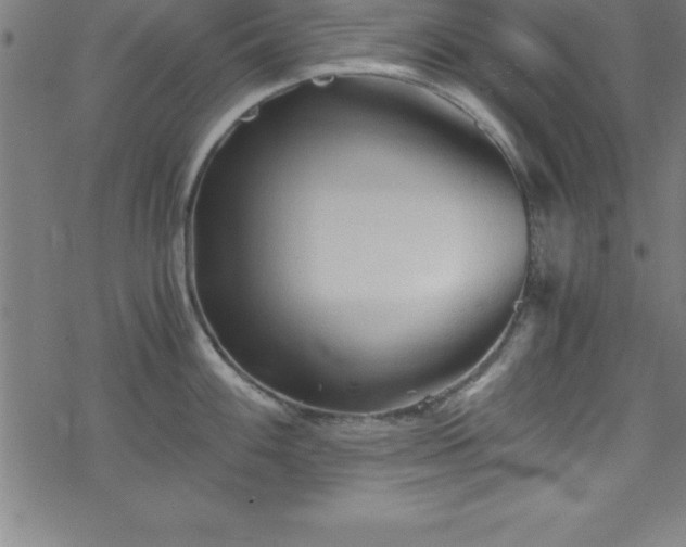 X0000078261100200611101029