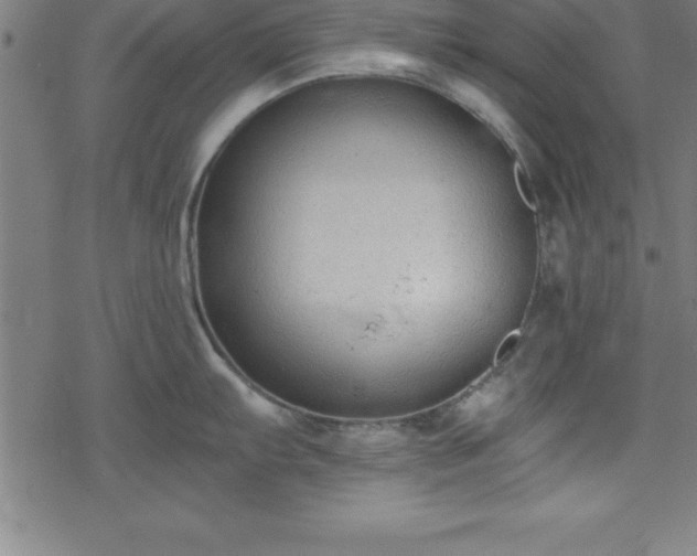 X0000078261103200611101029