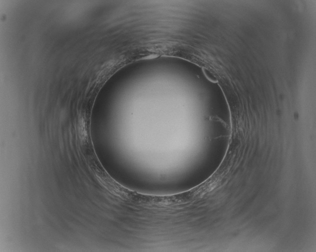 X0000078261106200611101028