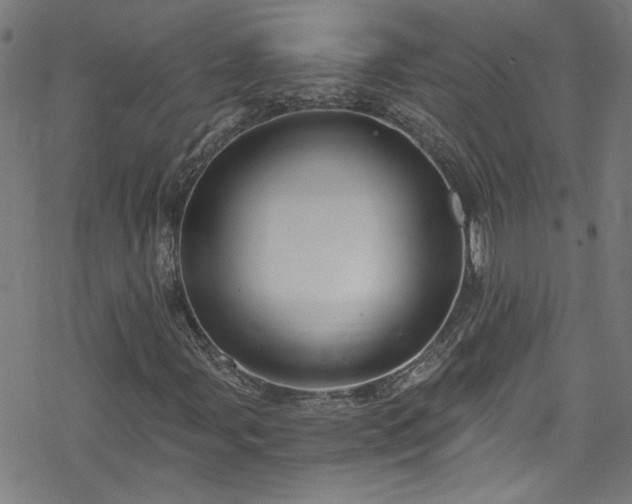X0000078261107200611101028