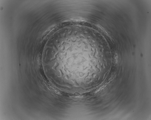X0000078261110200611101028