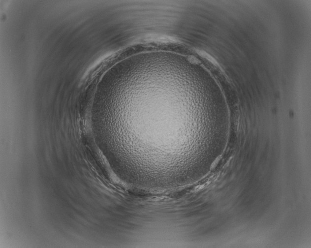 X0000078261112200611101028