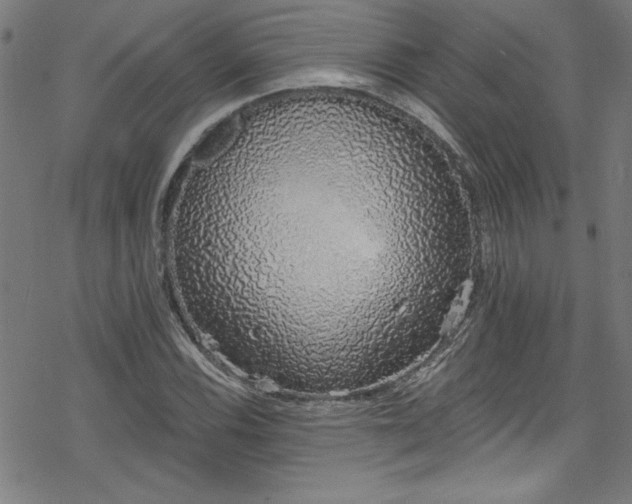 X0000078261116200611101028