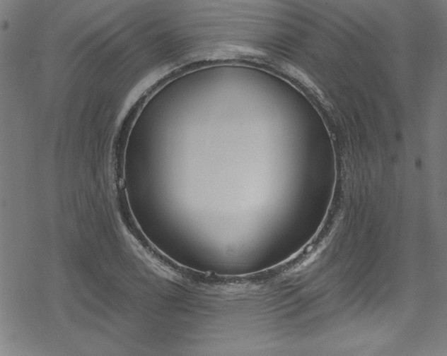 X0000078261122200611101028