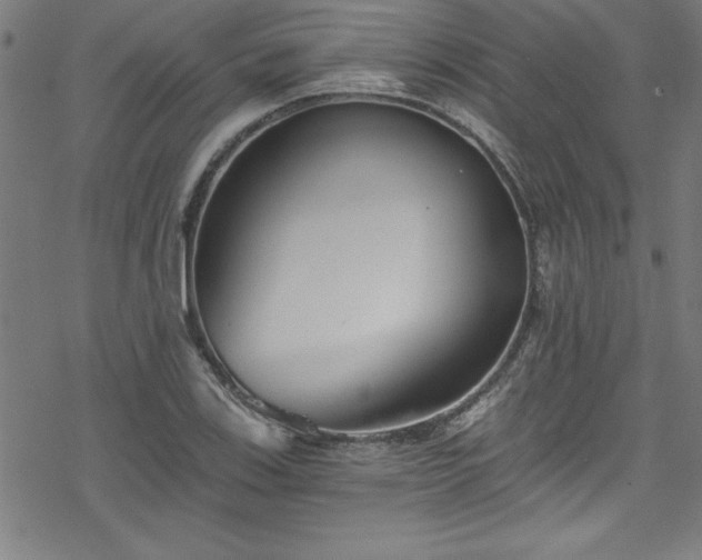 X0000078261123200611101028