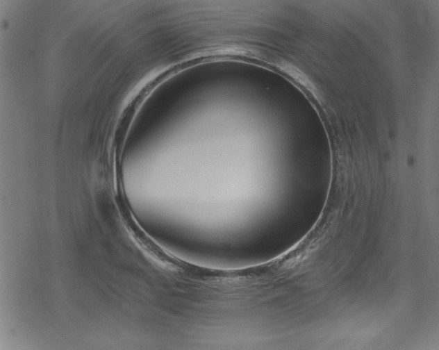 X0000078261127200611101028