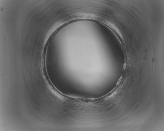 X0000078261136200611101028