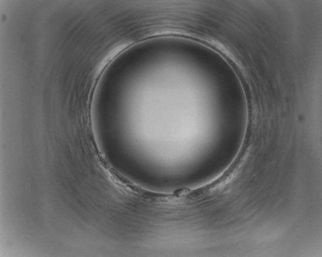 X0000078261145200611101029