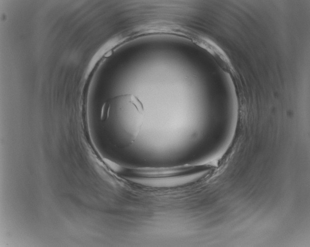 X0000078261146200611101029