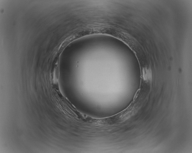 X0000078261155200611101028