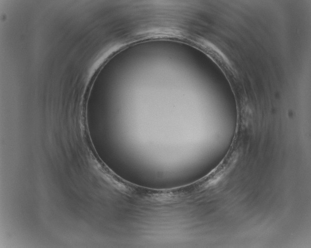 X0000078261182200611101027