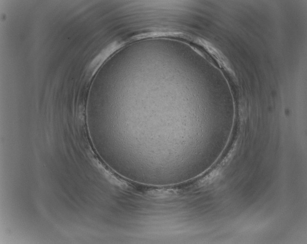 X0000078261185200611101027