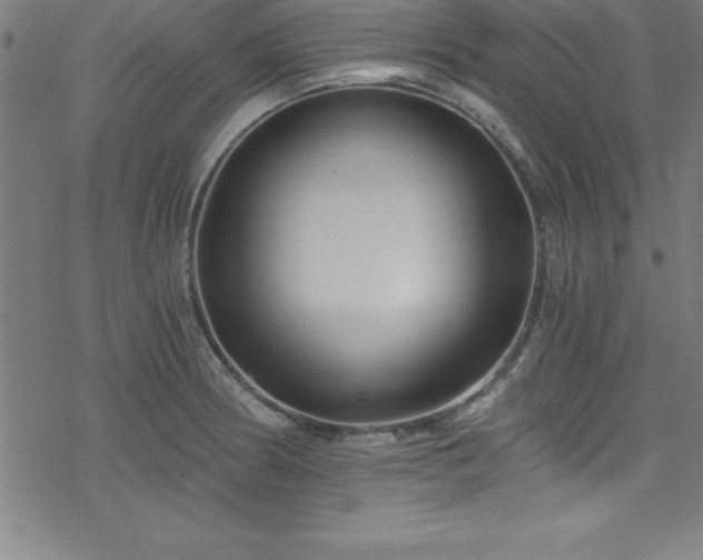X0000078261186200611101027