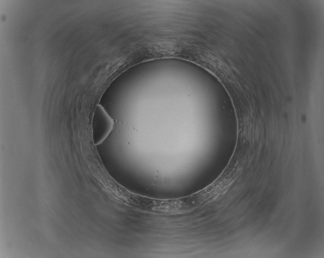 X0000078261201200611101026